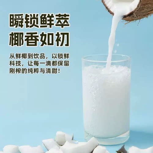 椰树牌椰汁植物蛋白饮料245ml*24罐椰子汁营养早餐聚会饮品生榨