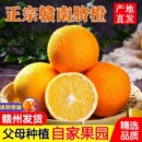 包邮 正宗赣南脐橙新鲜橙子当季 水果手剥果冻橙子冰糖甜橙大果整箱