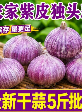 云南紫皮独头蒜大理独头干蒜独蒜批发正宗紫皮农家干大蒜新鲜蔬菜