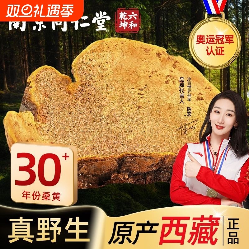 南京同仁堂桑黄西藏林芝野生茶林芝泡酒官方正品旗舰店AA藏红花