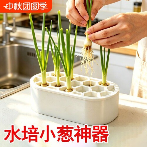 水培蔬菜种植葱花大蒜生菜水培箱家庭室内阳台无公害水培器培育盒