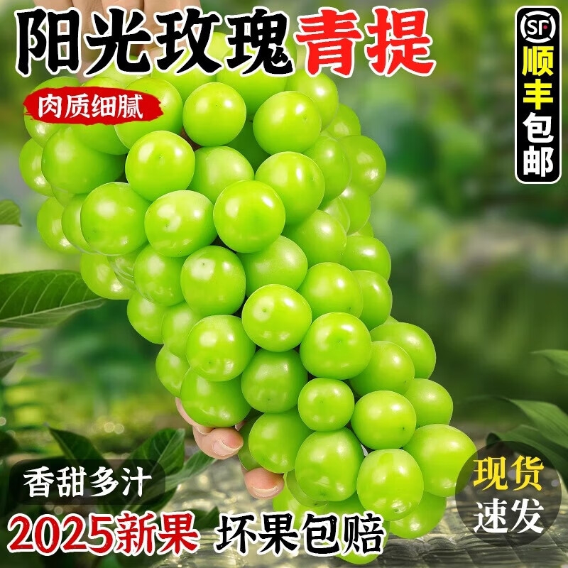 阳光玫瑰葡萄5晴王新鲜无籽香印青提水果礼盒顺丰应当季整箱包邮3