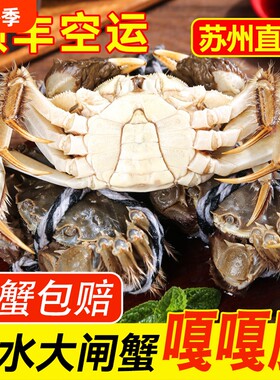 苏州特产鲜活六月黄大闸蟹公母2-3两足斤足两顺丰空运礼盒装水产