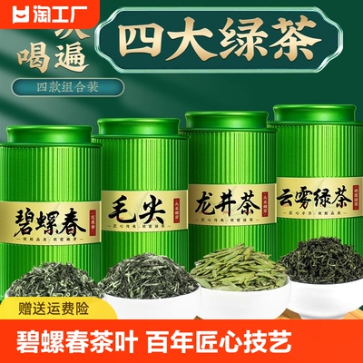 绿茶茶叶茗茶2024新茶碧螺春龙井毛尖茶高山云雾送礼炒青明前嫩芽