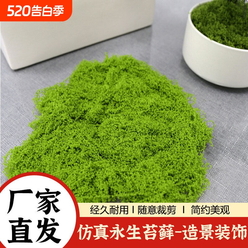 仿真苔藓草皮造景绿植微景观桌面盆栽装饰摆件仿生苔藓丝状假青苔