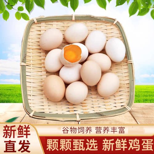 谷饲鲜鸡蛋40枚喂养新鲜鸡蛋笨鸡蛋甄选谷物早餐优选食材散养混合