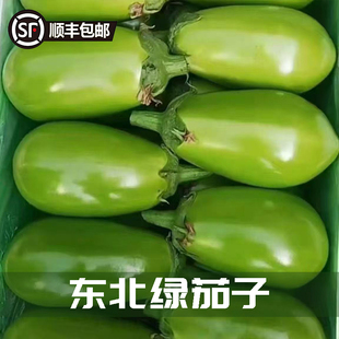 包邮 东北现摘绿茄子圆茄长茄应季 蔬菜火锅配菜新鲜果蔬顺丰可选