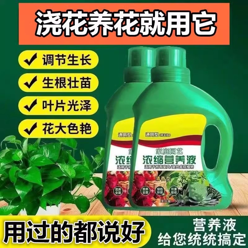 通用型浓缩植物营养液叶面肥水培盆栽液体肥多肉肥料开花室内黄叶