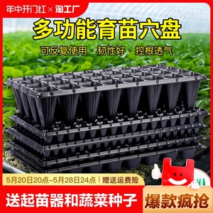 穴盘育苗盘林木加深育苗盘苗木多肉蔬菜塑料秧盘育苗盆托盘培育盆