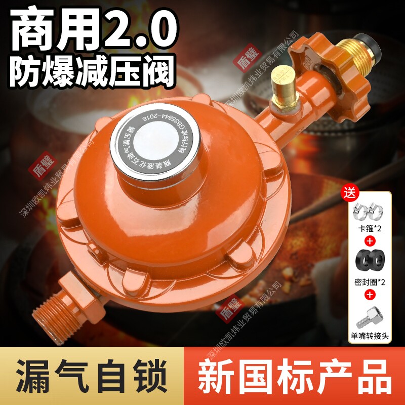 【厂家直销批发】国标SYT-2.0大流量液化气减压阀安检必过安全阀图片
