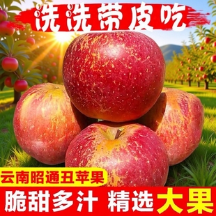 云南昭通冰糖心丑苹果脆甜新鲜苹果当季 整箱水果红富士大凉山生鲜