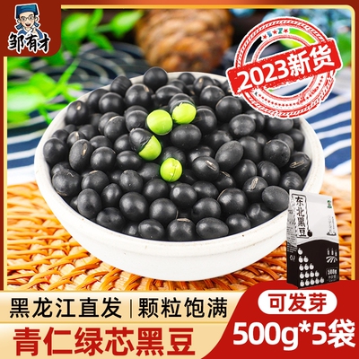 东北黑豆500g非转基因青仁绿心