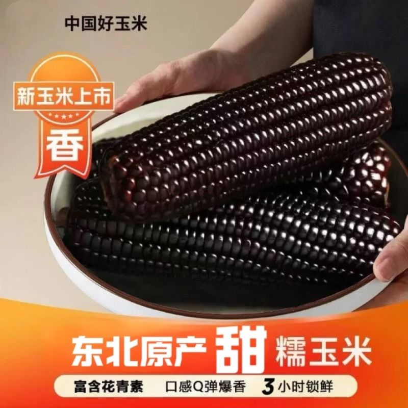 东北黑糯玉米大棒东北黑玉米真空装新鲜加热即食黑粘苞米黑粘玉米