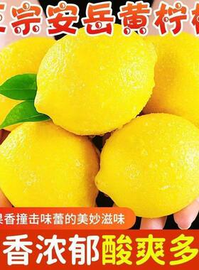 四川安岳黄柠檬一二级果1/3/5斤现摘精选皮薄多汁榨汁鲜果尤力克