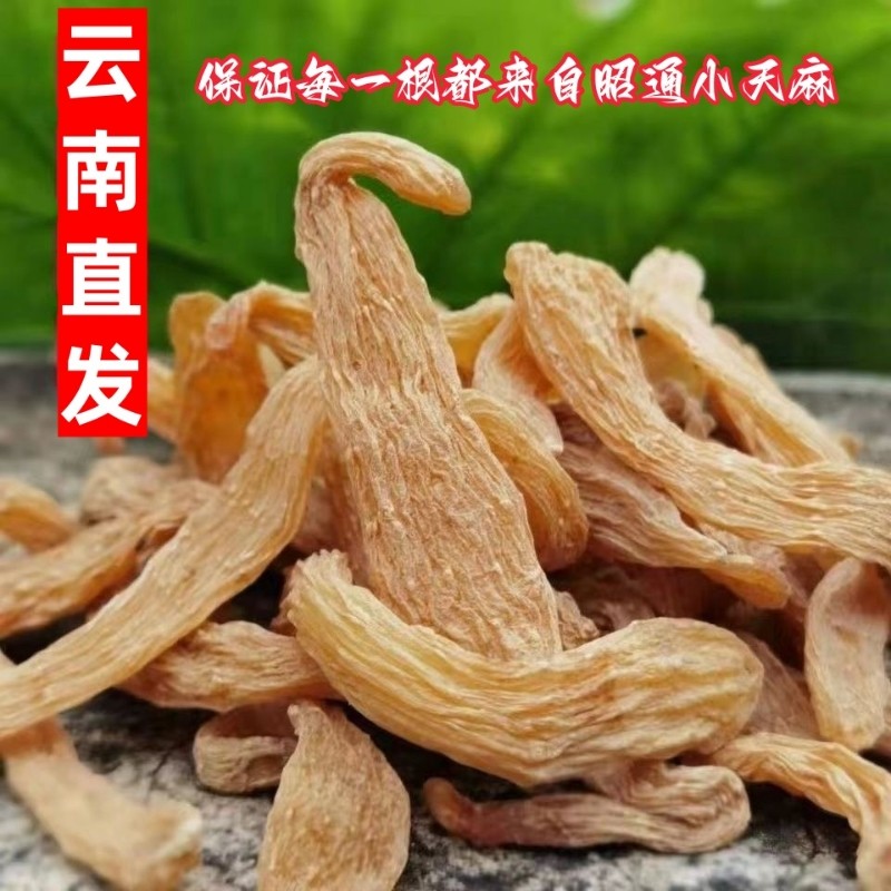 小天麻个中药材云南昭通天麻野深山生天麻干片无硫正品产