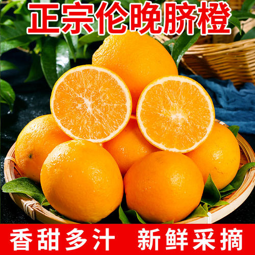正宗湖北秭归伦晚脐橙新鲜现摘香甜橙子孕妇水果春橙9斤产地直供