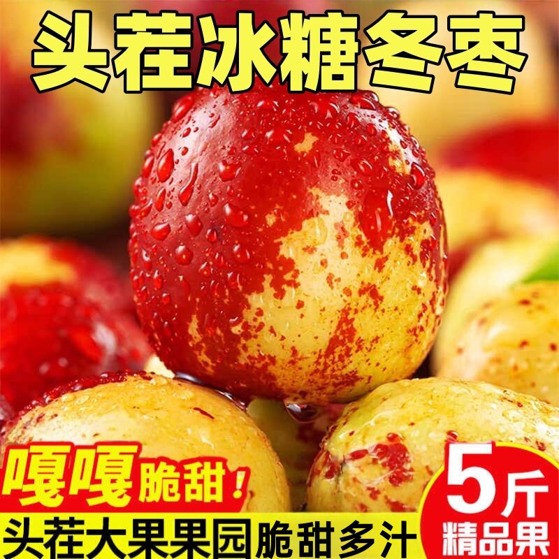 沾化冬枣5斤装新鲜应季枣子脆枣大枣当季水果礼盒装冰糖脆甜精品