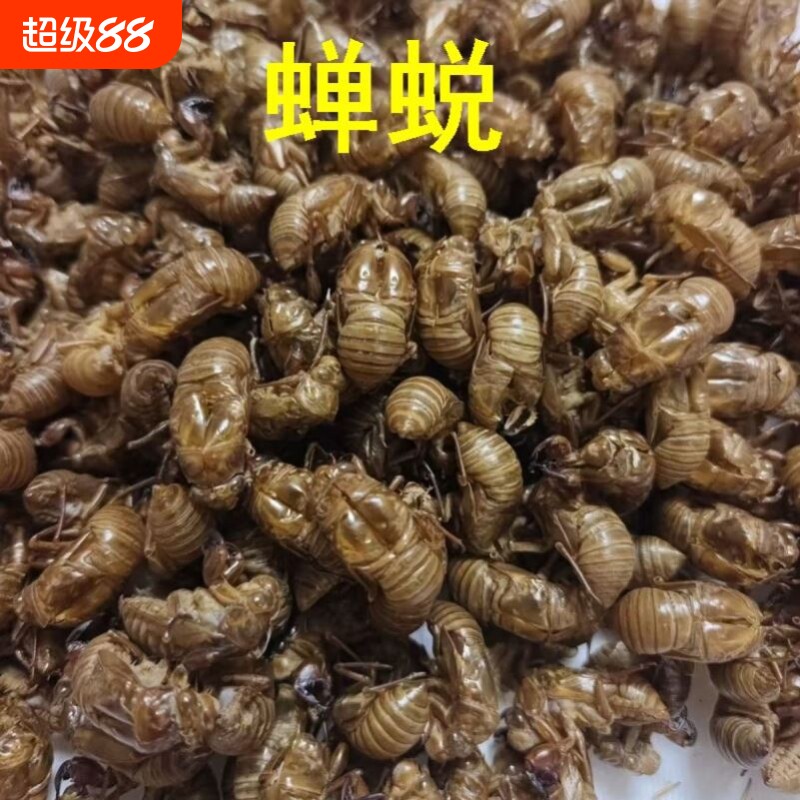 蝉蜕中药材500g克爬了猴蝉退壳知了壳蝉壳蝉蜕金蝉衣金蝉壳蝉皮