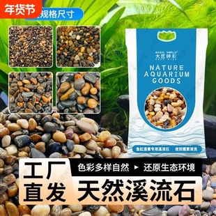 溪流石鱼缸造景底部砂石装饰鹅卵石纯天然乌龟缸铺底石头摆件生态