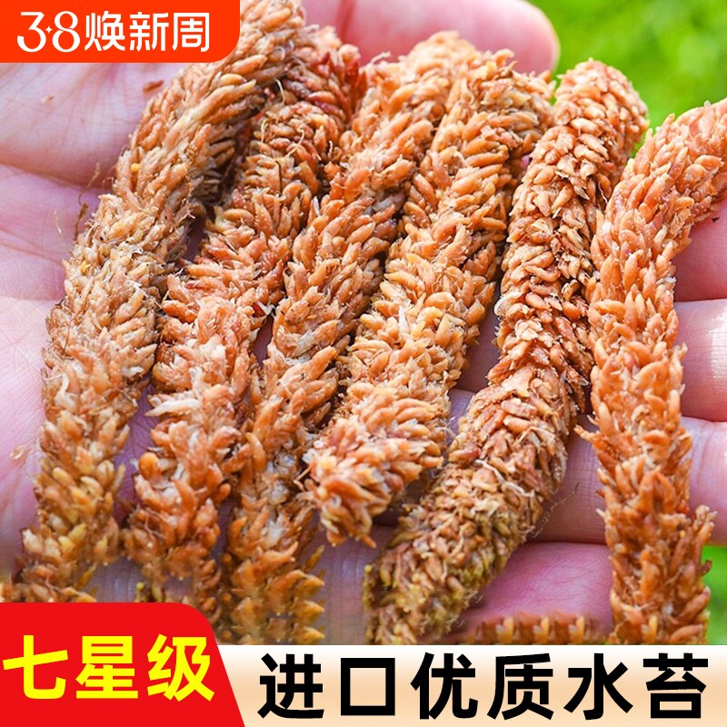 进口智利毛毛虫水苔蝴蝶兰营养土养花多肉植物育苗基质苔藓花土壤