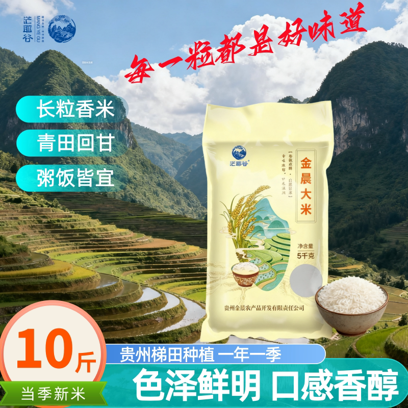 贵州大米2025新米高山梯田长粒香大米农家大米金晨新籼米10斤装