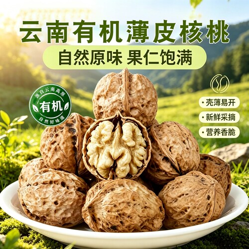 云南103纸皮有机核桃026新货薄皮