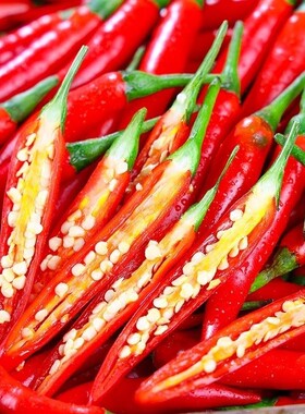 新鲜现摘小米椒特辣5斤批发直发朝天椒指天椒剁椒红米椒红小米椒