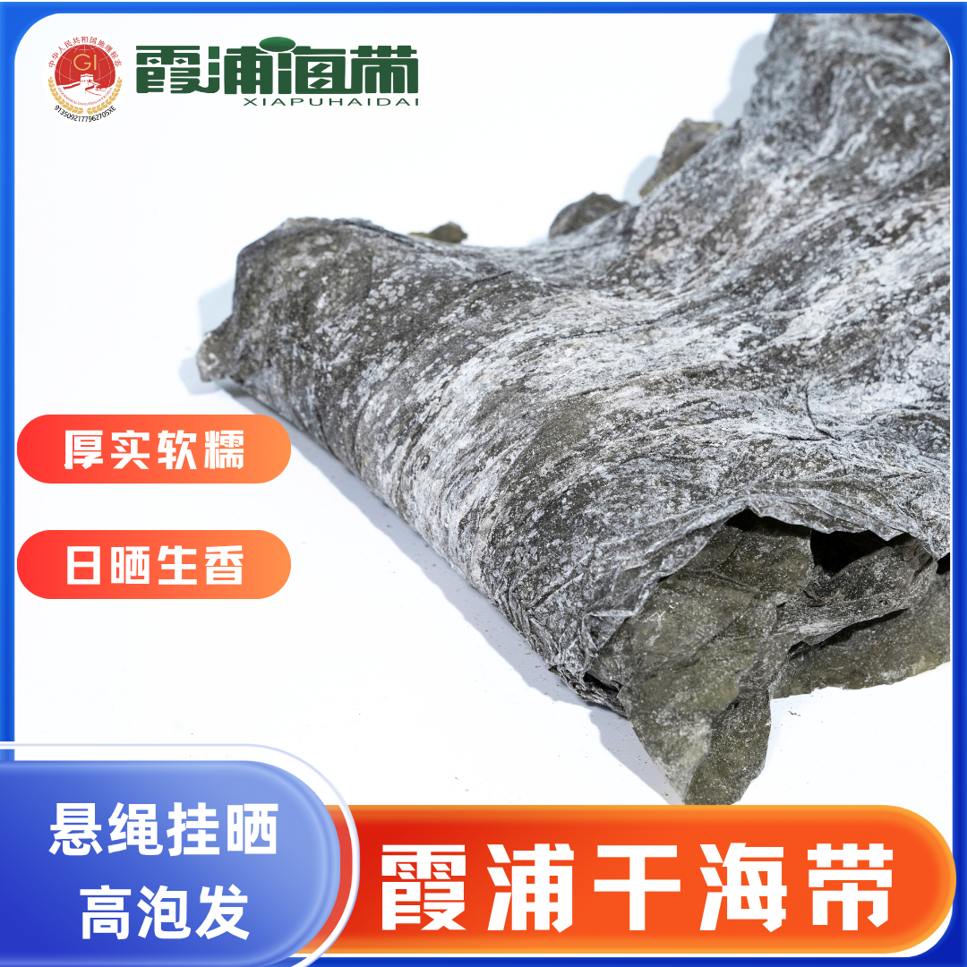 霞浦整棵干海带火锅煲汤凉拌