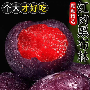 河南西峡李子新鲜血丝玫瑰李红肉恐龙蛋黑布林李当季孕妇水果红心