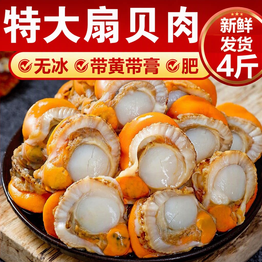 新鲜特大号扇贝肉冷冻扇贝肉海鲜红贝烧烤蒜蓉粉丝无冰衣扇贝肉
