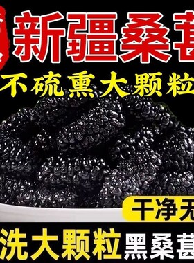 新疆桑葚干野生正品黑桑椹干