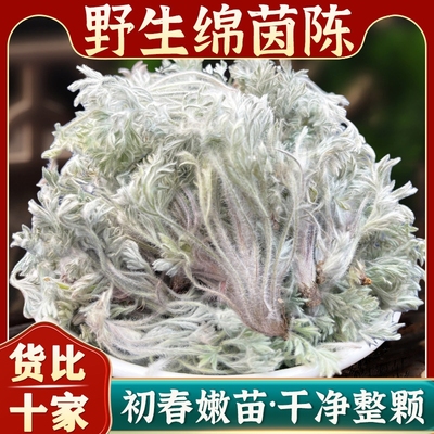 精选三月茵陈中药材正品官方旗舰店白蒿棉茵陈蒿绵茵陈因陈泡茶水