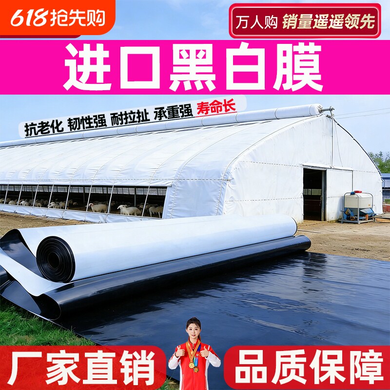 进口黑白膜抗老化防晒加厚大棚隔热降温保温反光食用菌膜养殖鱼塘