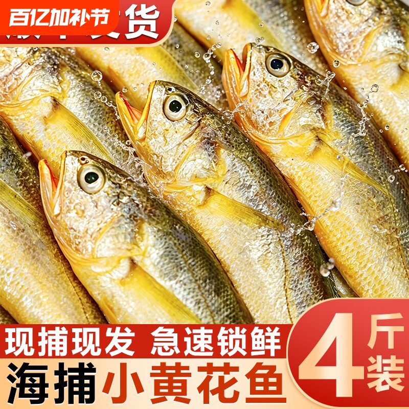 舟山小黄花鱼新鲜冷冻烧烤冰鲜野生深海鲜活黄鱼整箱商用批发水产