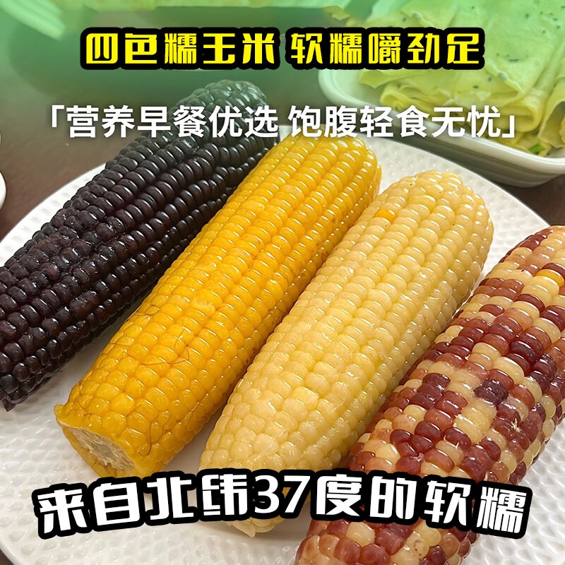 甘肃玉米即食新鲜真空包装营养早餐8支装220g-250g黄金优质速冻