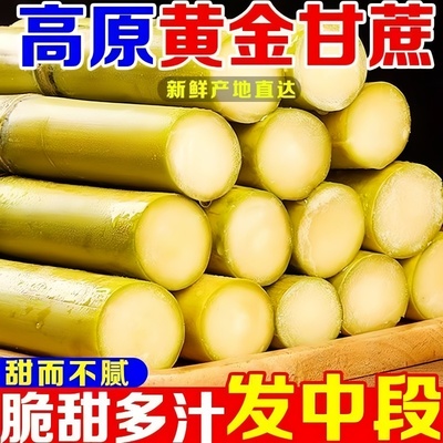 云南新鲜黄皮甘蔗现砍直发脆甜多汁农家自种产地直发新鲜水果包邮
