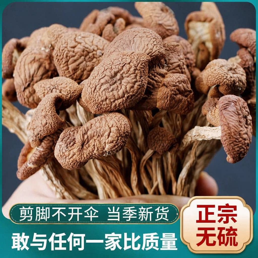 新季优选茶树菇干货古田不开伞500g新货菌菇无硫美味健康新鲜散装