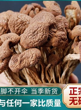 新季优选茶树菇干货古田不开伞500g新货菌菇无硫美味健康新鲜散装