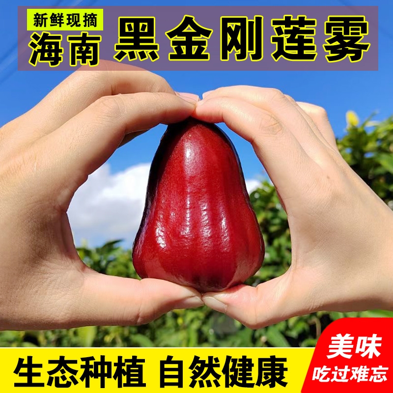 正宗海南黑金刚大果特大果莲雾新鲜水果热带果脆甜三亚特产连雾