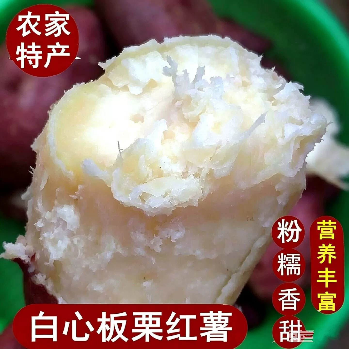 新鲜白心板栗红薯沙地白瓤地瓜冰糖心哈密白薯山东特产冰糖哈密薯