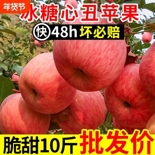 自家果园山西冰糖心苹果脆甜红富士丑苹果平果应季新鲜水果多汁
