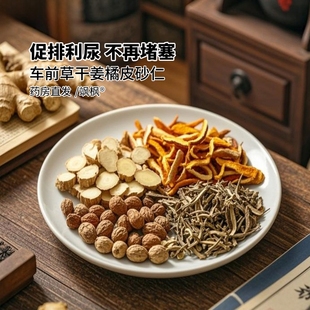 车前草生姜橘皮砂仁组合茶包酸尿高风痛专用茶泡水喝中药材降茶XT