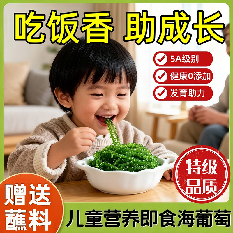 儿童海葡萄水葡萄新鲜绿色鱼子酱盐渍海葡萄网红零食爆珠海葡萄