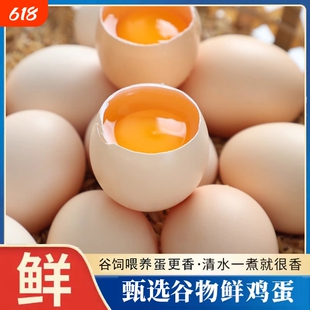 谷饲喂养鲜鸡蛋新鲜现捡营养蛋品日常食用家庭烹饪烘焙食材