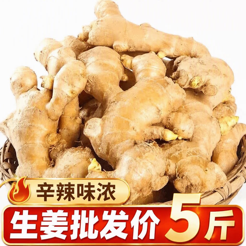 山东老姜生姜姜块黄姜月子姜特产风干无硫磺批发当季食用农场种植