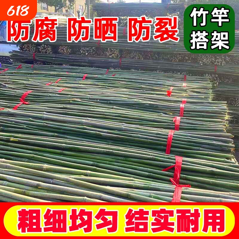竹竿棍菜园爬藤架防腐粗细彩旗竹子杆蔬菜架架黄瓜豆角瘦竹竿庭院