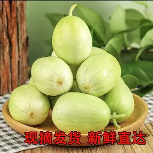 玉女黄瓜水果黄瓜拇指小黄瓜青瓜新鲜产地直发包邮