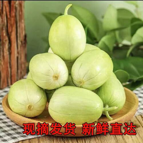 山东新鲜玉女黄瓜小青瓜小嫩瓜