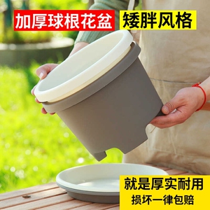 花盆塑料朱顶红铃兰花矮牵牛天竺葵球根草花盆栽专用圆形种植圆盆