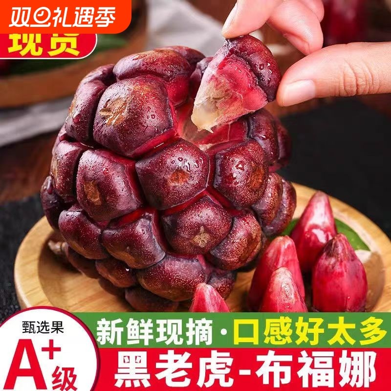 云南高山黑老虎当季新鲜水果恶魔果罕见稀有奇异血藤果福布娜果